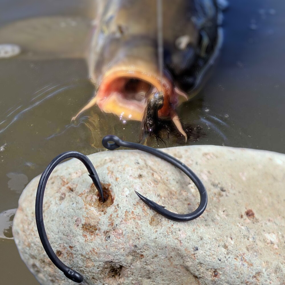 Hirisi ปลาคาร์พตะขอตกปลา 50 ชิ - Fishing Hook Assortment บทวิจารณ์และราคา